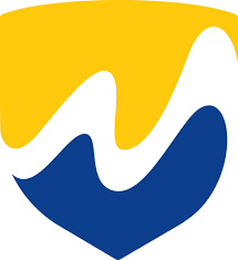 Essential MenaVpn Review |2025|